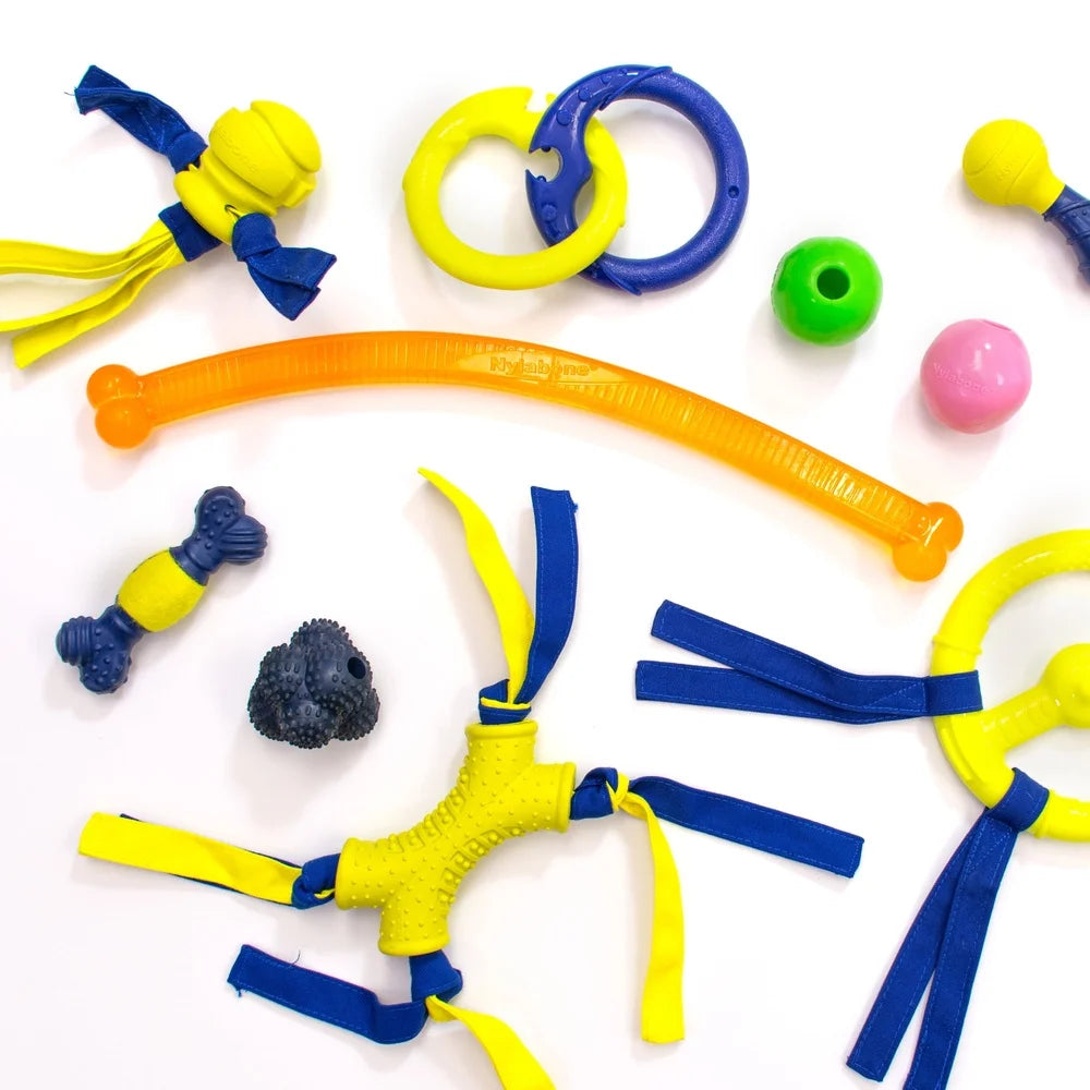 Bouncy Fetch Ball Durable Rubber Interactive Toy