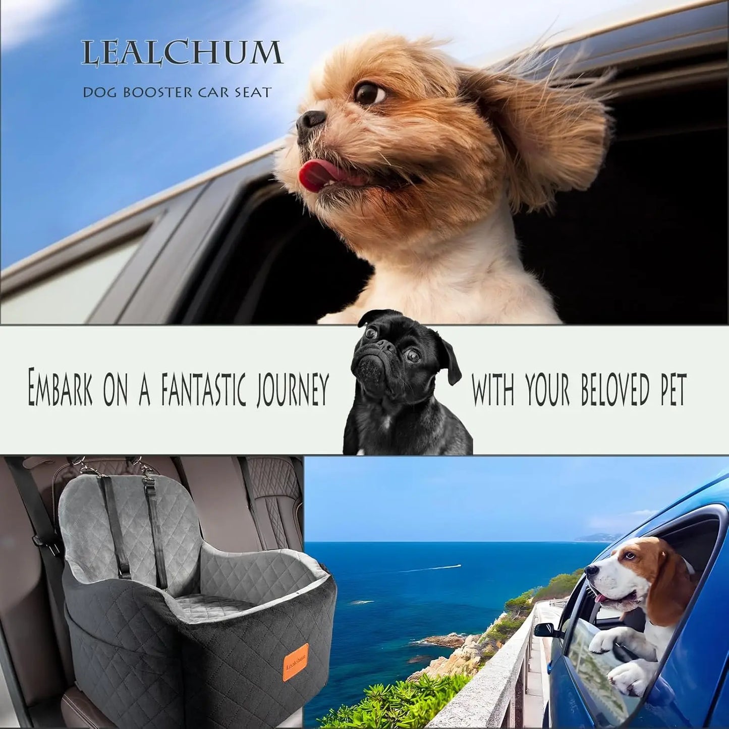 Car Seat for Small/Medium Dogs