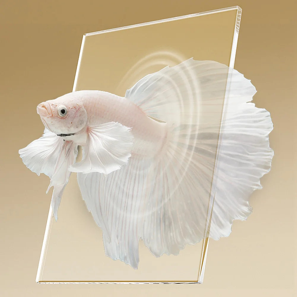 Betta Fish Tank Aquarium Starter Kit