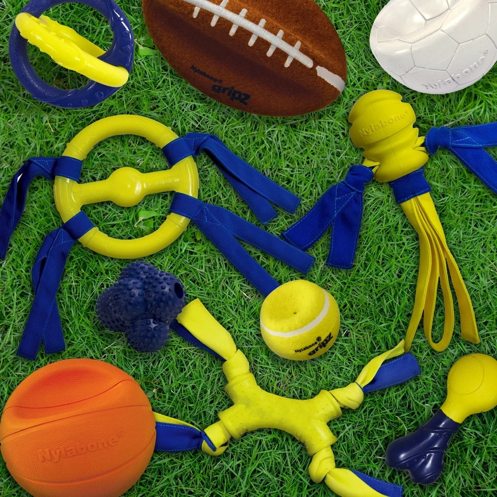 Bouncy Fetch Ball Durable Rubber Interactive Toy