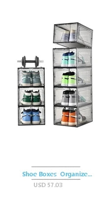 Aquaponics Ecosystem Kit 10 Gallon Aquarium Desktop