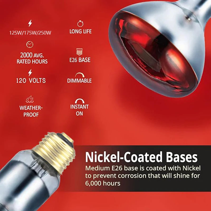 Explosion-proof Infrared Heat Lamp