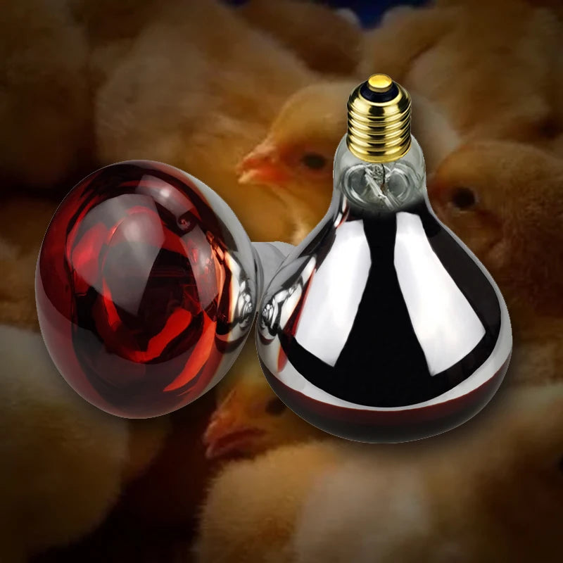 Explosion-proof Infrared Heat Lamp