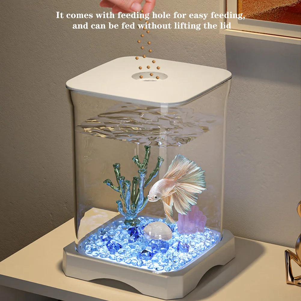 Betta Fish Tank Aquarium Starter Kit