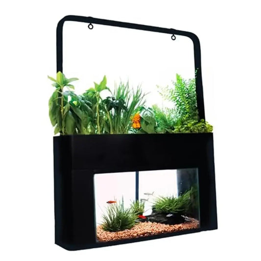 Aquaponics Ecosystem Kit 10 Gallon Aquarium Desktop