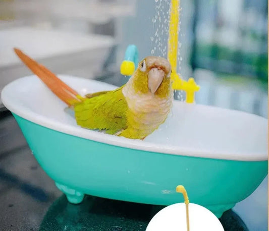 Automatic Bird Shower Bowl